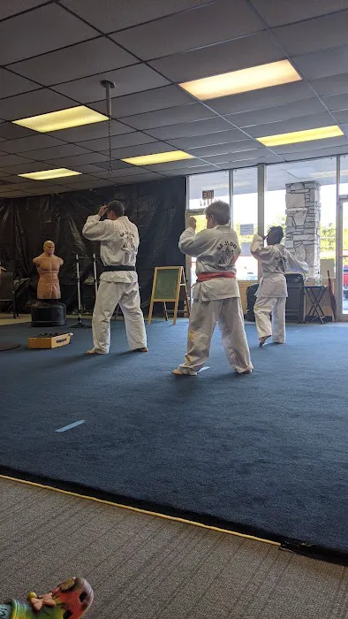 Sajido Martial Arts Academy Picture 9