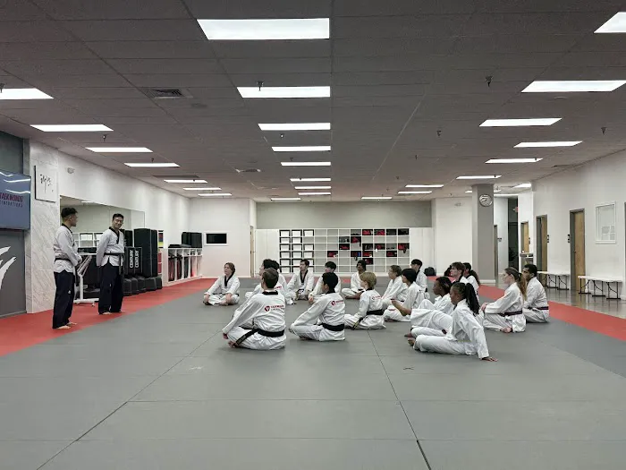 Taekwondo Generations Stone Mountain Picture 9