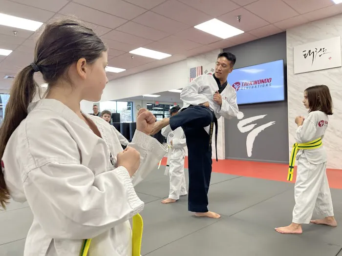 Taekwondo Generations Stone Mountain Picture 8