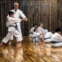Jinsendo Martial Arts ico