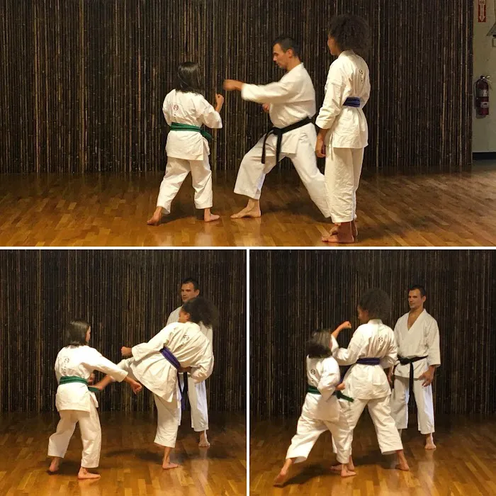 Jinsendo Martial Arts Picture 2