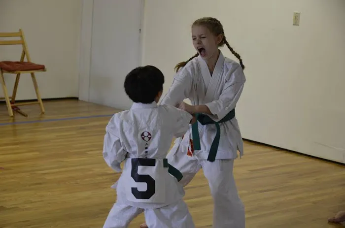 Jinsendo Martial Arts Picture 4