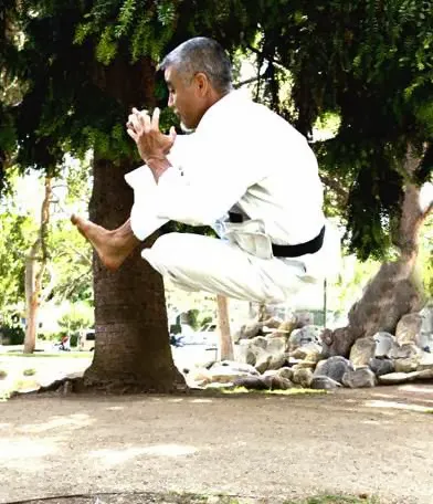 Jinsendo Martial Arts Picture 6