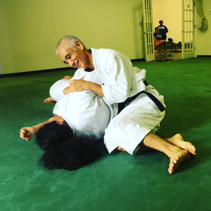 Jinsendo Martial Arts Picture 7