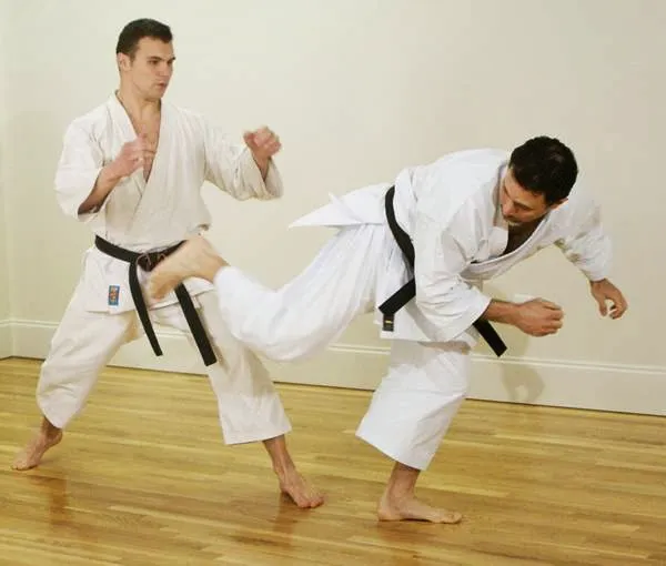 Jinsendo Martial Arts Picture 8