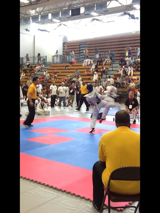 Rasha martial arts Academy Picture 6