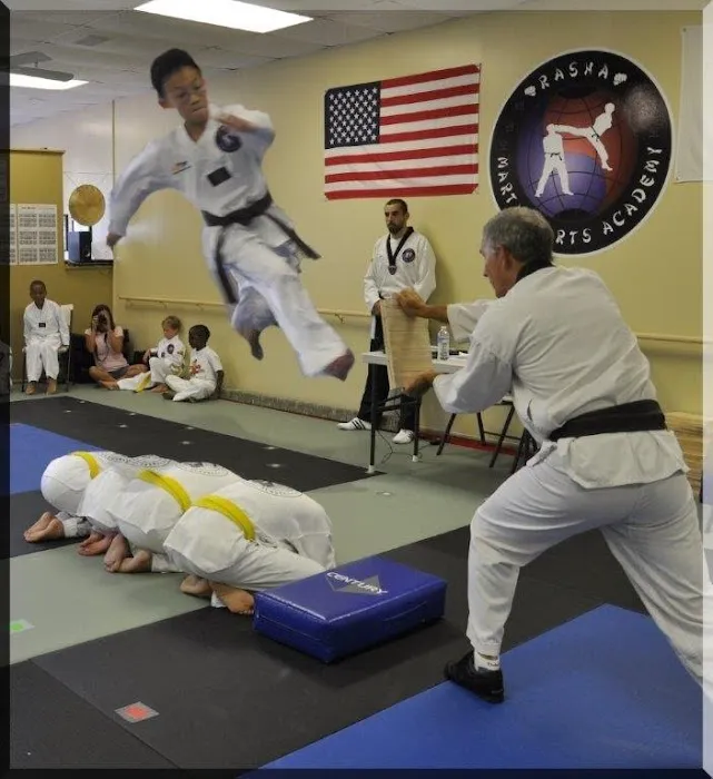 Rasha martial arts Academy Picture 10