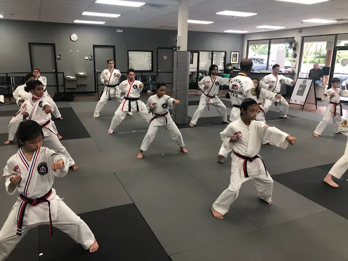 Karate Atlanta Sandy Springs Picture 5