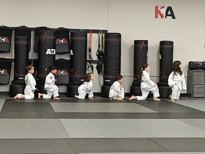 Karate Atlanta Sandy Springs Picture 4