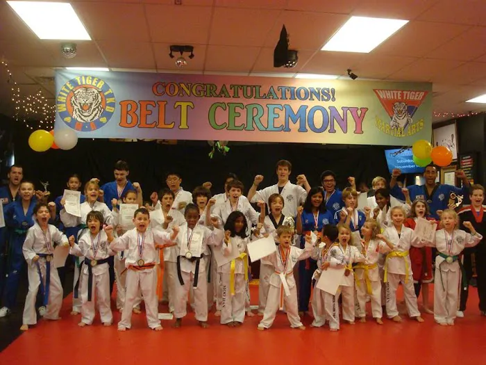 White Tiger Martial Arts Picture 1