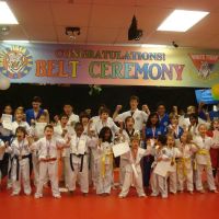 White Tiger Martial Arts ico