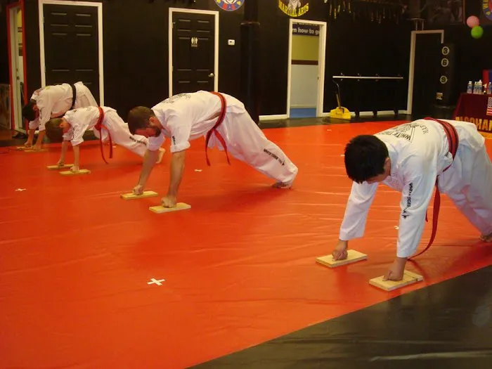 White Tiger Martial Arts Picture 2
