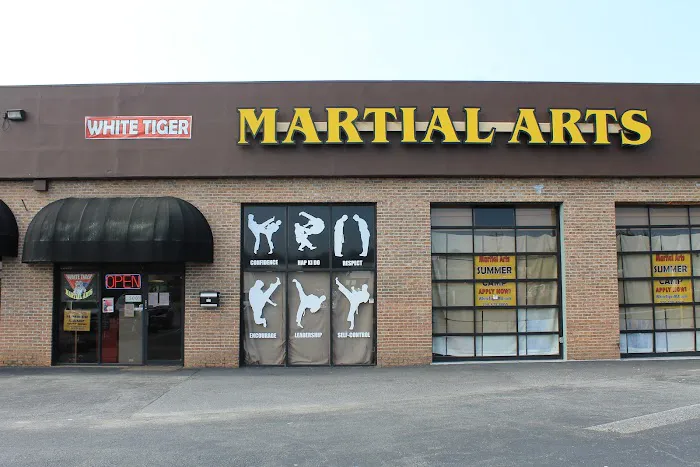 White Tiger Martial Arts Picture 4