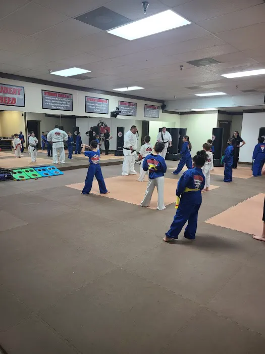 Family Martial Arts Sandy Springs Picture 2