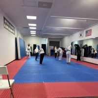 JC World Taekwondo(martial arts) -Dunwoody ico