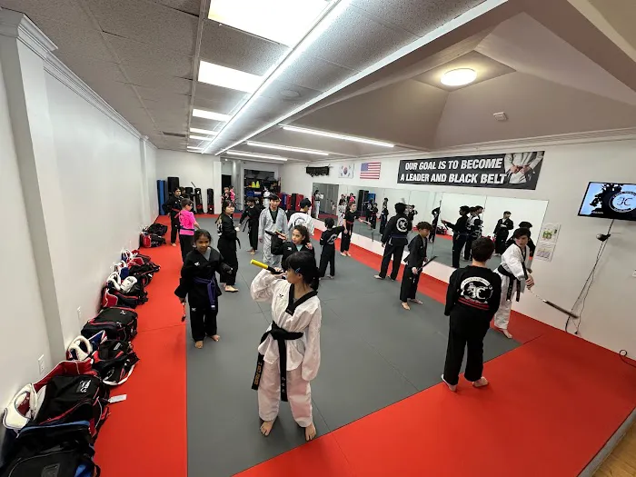 JC World Taekwondo(martial arts) -Dunwoody Picture 2