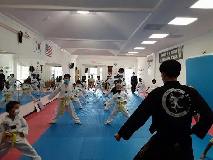 JC World Taekwondo(martial arts) -Dunwoody Picture 4
