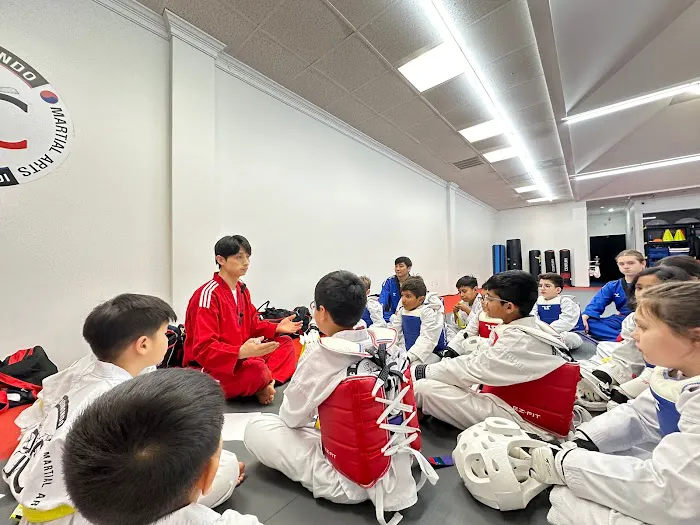 JC World Taekwondo(martial arts) -Dunwoody Picture 7