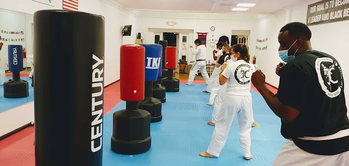 JC World Taekwondo(martial arts) -Dunwoody Picture 10