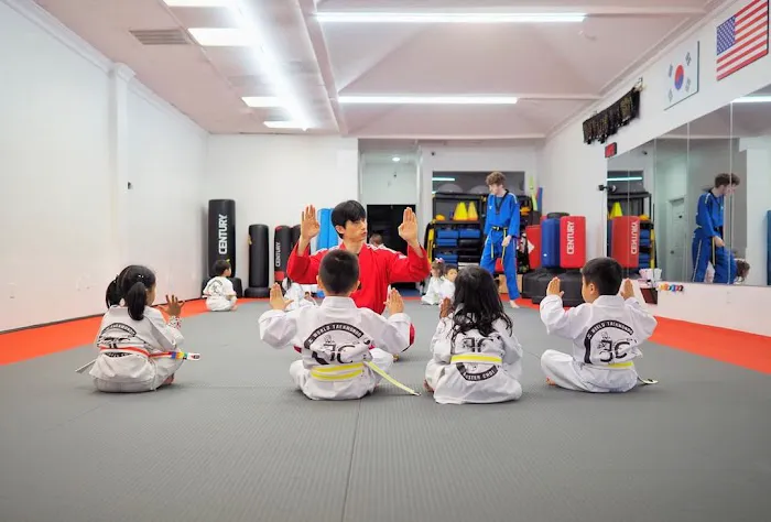 JC World Taekwondo(martial arts) -Dunwoody Picture 8