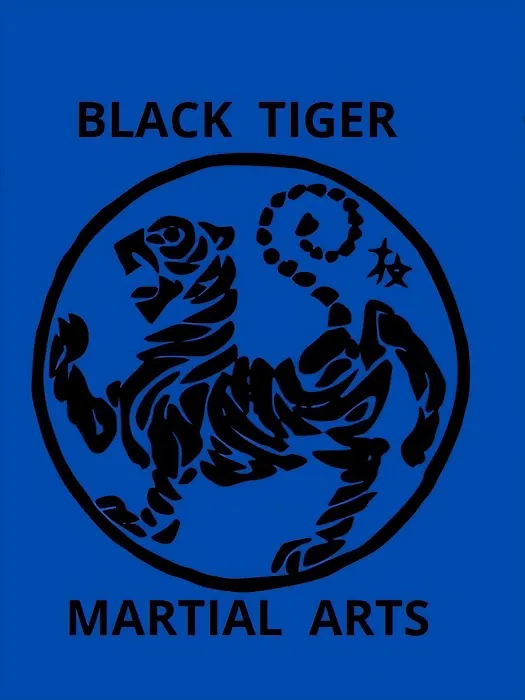 Black Tiger Martial Arts Picture 3