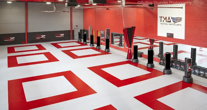 Tactical Martial Arts Picture 2