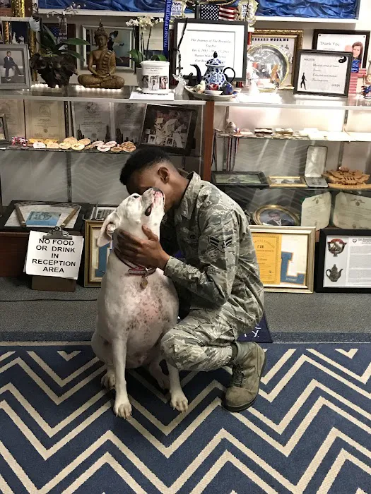 Universal Martial Arts Picture 2