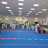Taekwondo ico