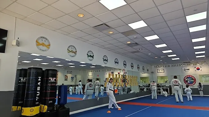 Taekwondo Picture 3