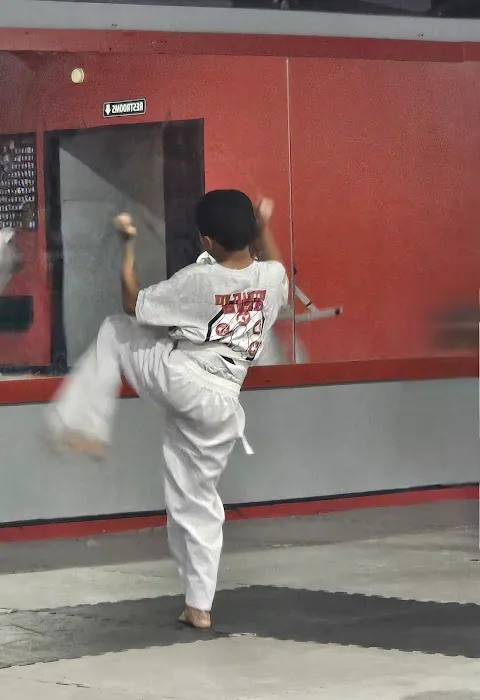 New Tradition Martial Arts Picture 1