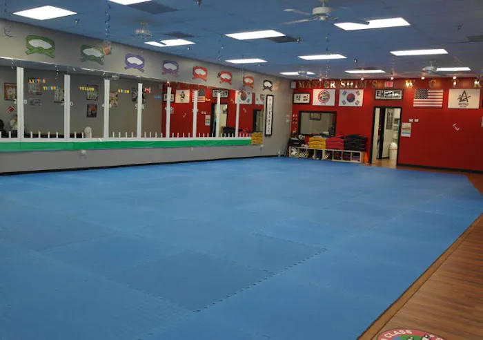 MASTER SHIM'S WORLD CLASS TAE KWON DO Picture 8