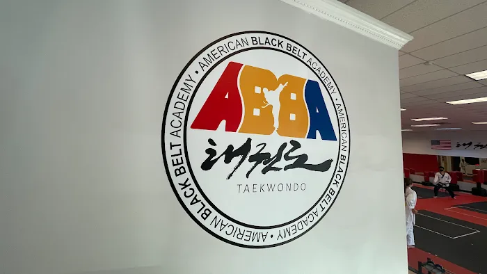 American Black Belt Academy Peachtree City Picture 10
