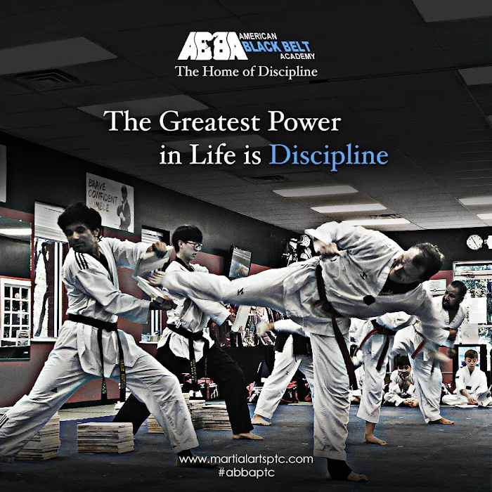 American Black Belt Academy Peachtree City Picture 9