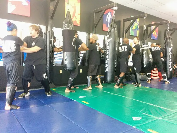 Elite Academy of Martial Arts, est. 2012 Picture 2