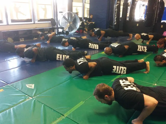 Elite Academy of Martial Arts, est. 2012 Picture 4