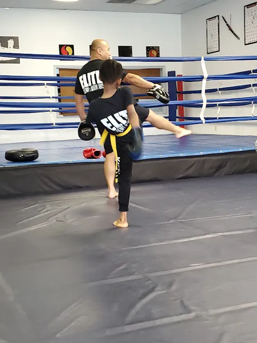 Elite Academy of Martial Arts, est. 2012 Picture 3