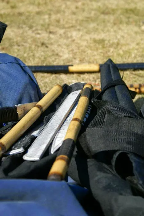 Elite Academy of Martial Arts, est. 2012 Picture 6