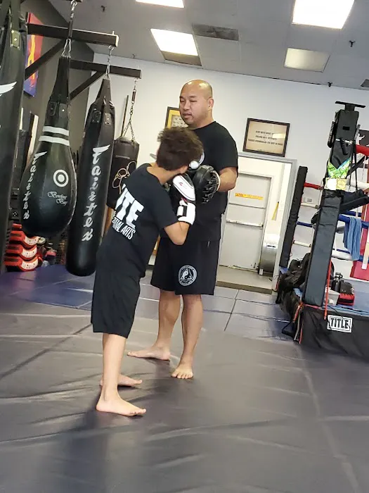 Elite Academy of Martial Arts, est. 2012 Picture 8