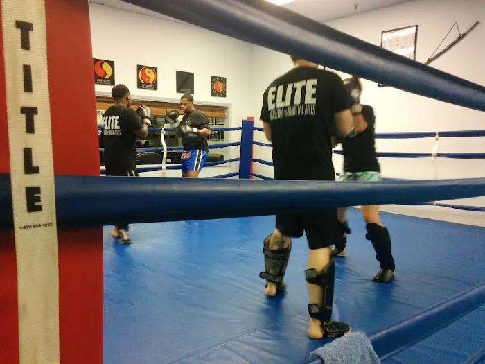 Elite Academy of Martial Arts, est. 2012 Picture 5
