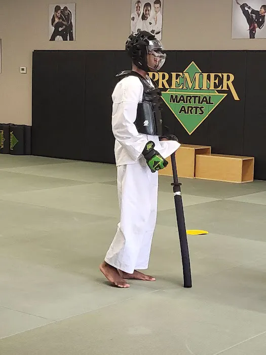 Premier Martial Arts Picture 3