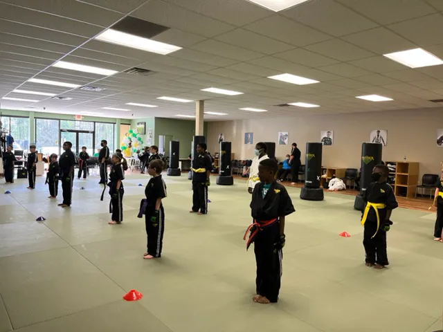 Premier Martial Arts Picture 4