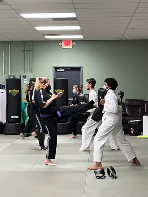 Premier Martial Arts Picture 6