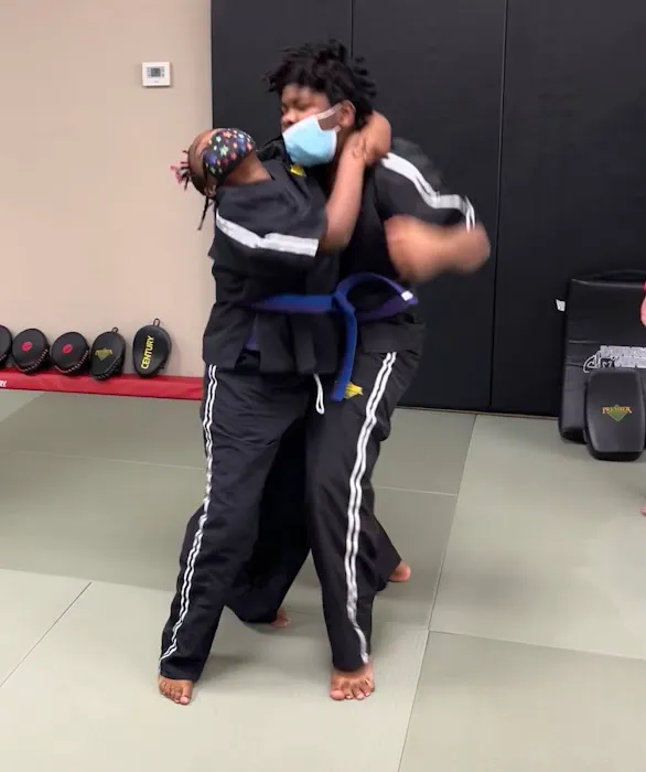 Premier Martial Arts Picture 7