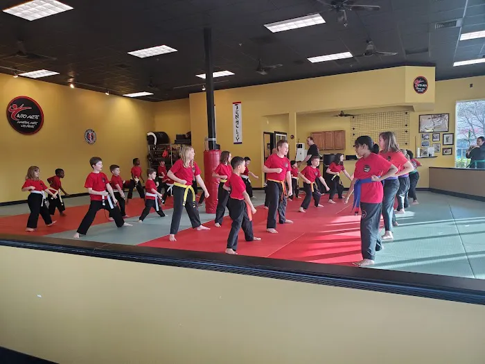 Into Arts Martial Arts Center Picture 2