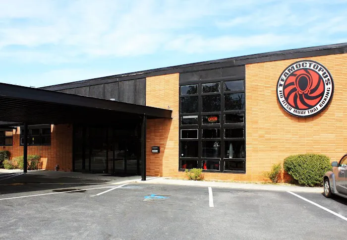 Team Octopus Fitness Chamblee Picture 2