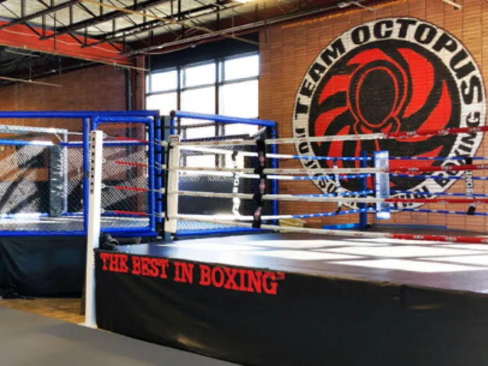 Team Octopus Fitness Chamblee Picture 5