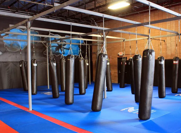 Team Octopus Fitness Chamblee Picture 4