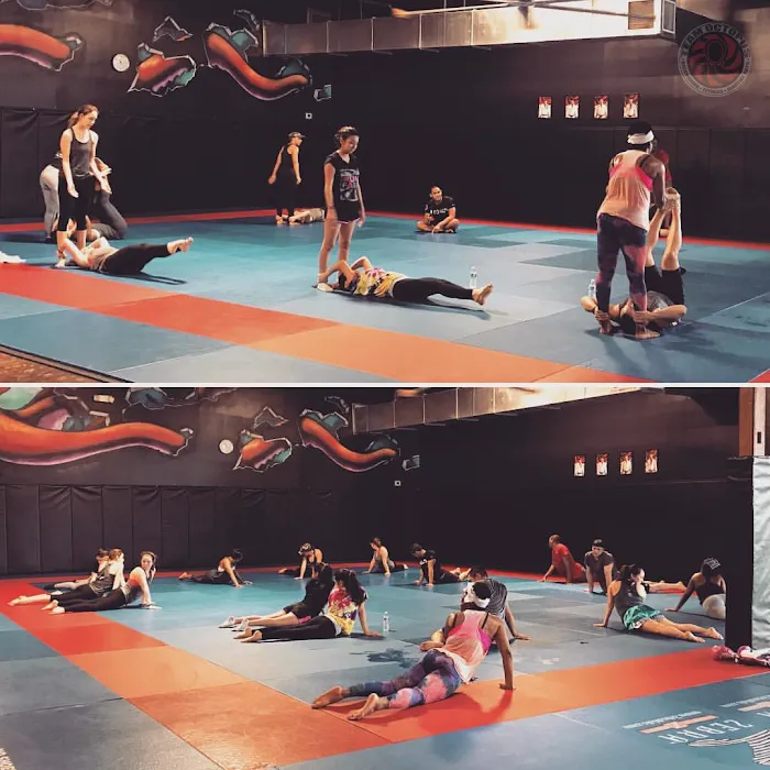 Team Octopus Fitness Chamblee Picture 9