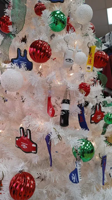 Martial Arts Group Picture 5