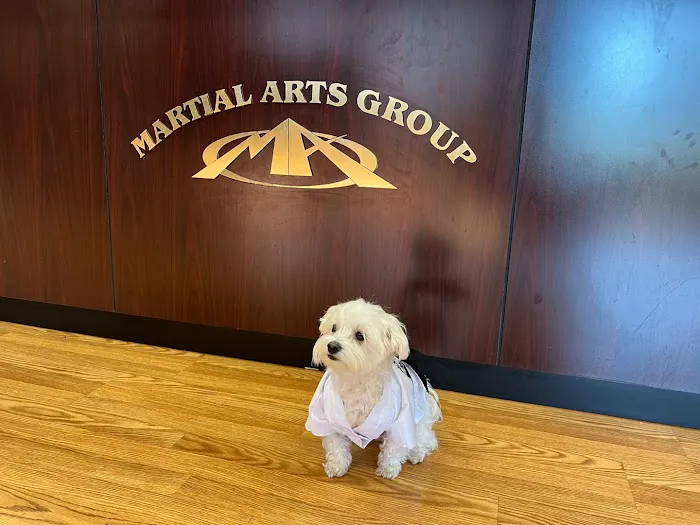 Martial Arts Group Picture 10